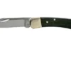 Buck 110 Folding Hunter